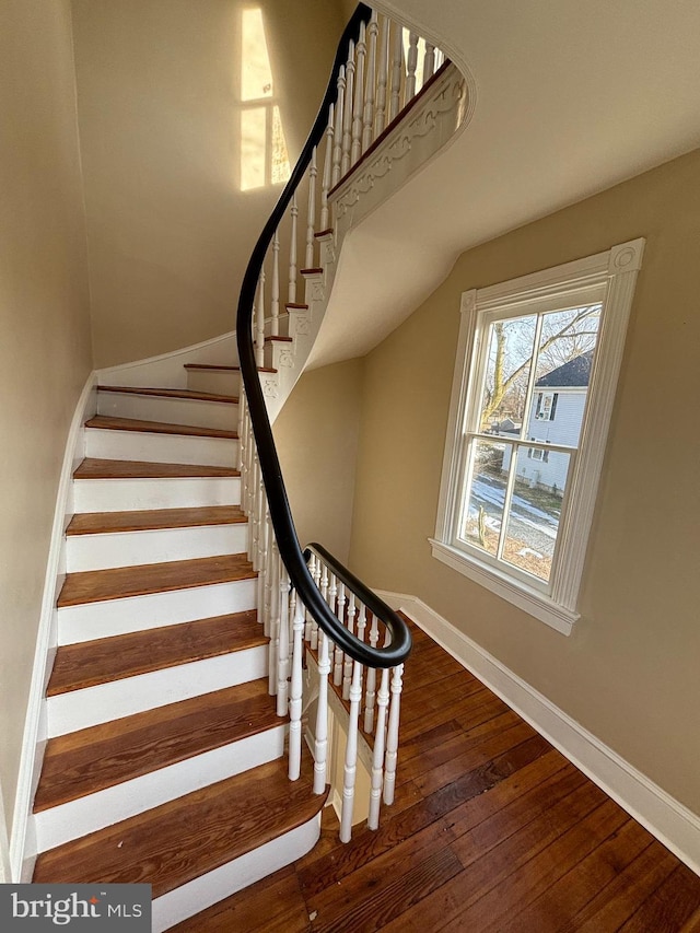 stairway with hardwood / wood-style flooring