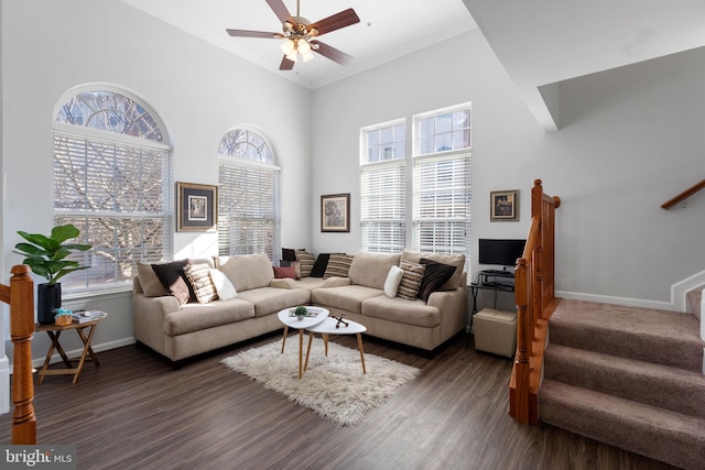 living room with ornamental molding, a towering ceiling, dark wood-type flooring, and ceiling fan