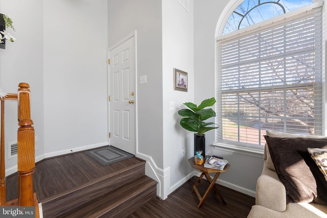 foyer with dark wood-type flooring