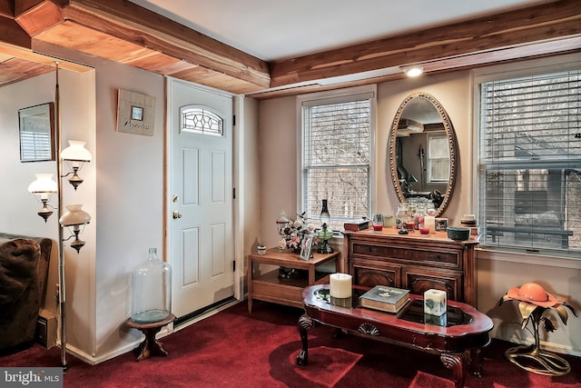 carpeted entryway with a healthy amount of sunlight