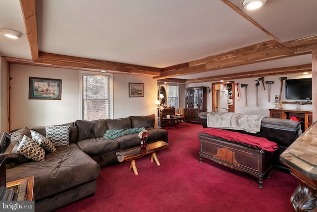 living room with carpet flooring