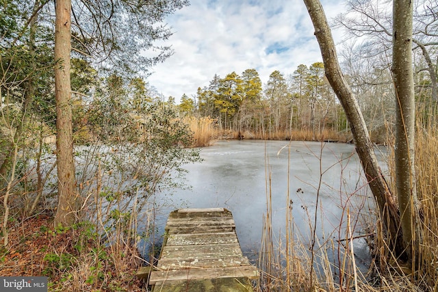 view of dock with a water view