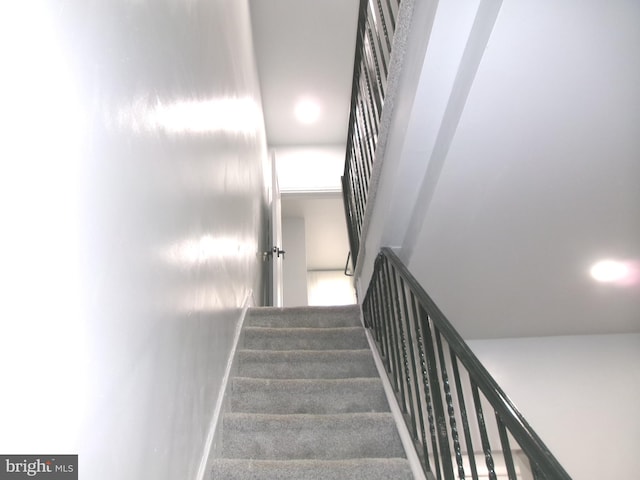 stairs with carpet flooring