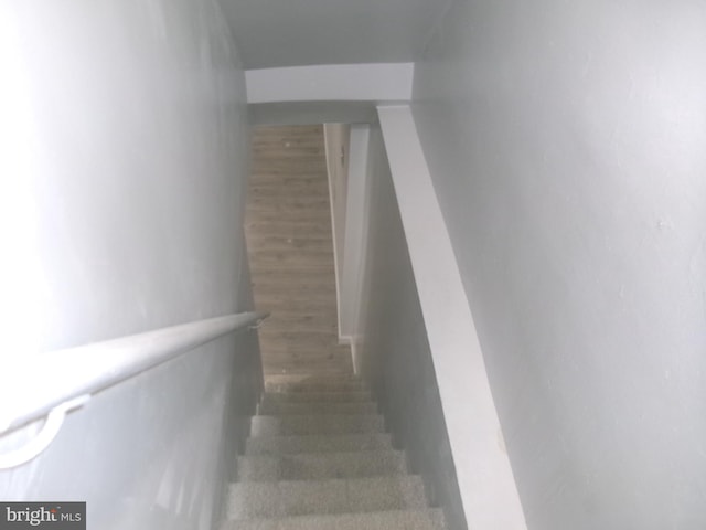 staircase featuring hardwood / wood-style floors