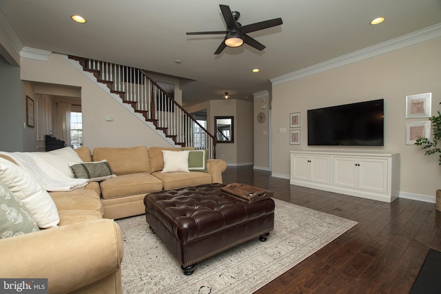 living room featuring crown molding, ceiling fan, and dark hardwood / wood-style flooring