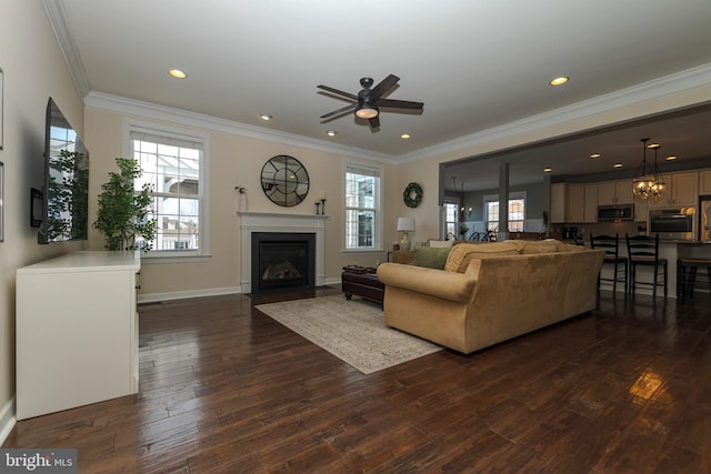 living room with crown molding, dark wood-type flooring, and ceiling fan with notable chandelier