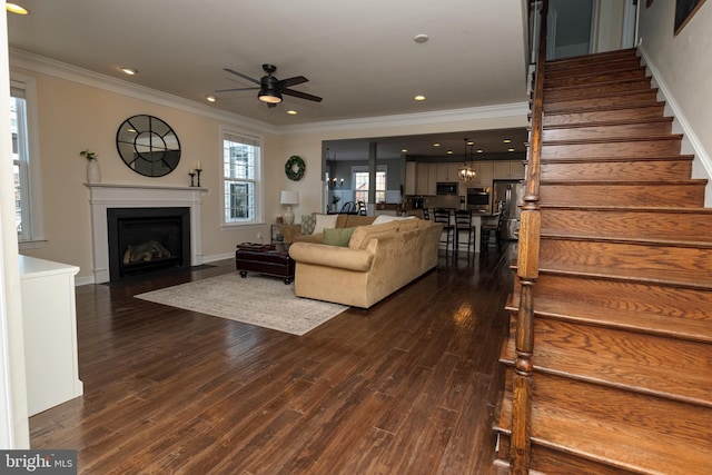 living room with ornamental molding, ceiling fan, and dark hardwood / wood-style flooring