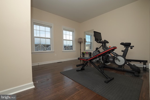 exercise area featuring dark wood-type flooring