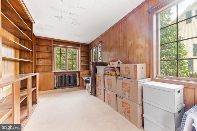 interior space featuring radiator