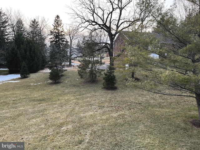 view of yard with a water view