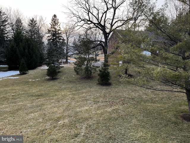 view of yard with a water view