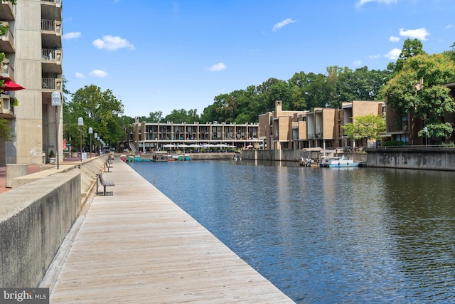 dock area with a water view