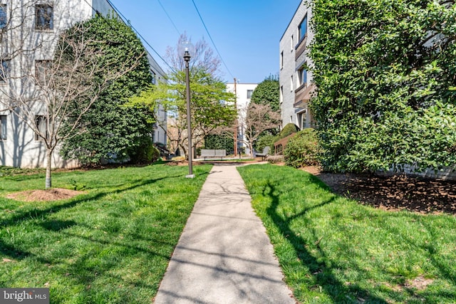 view of community featuring a yard