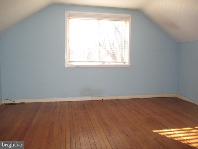 additional living space featuring wood-type flooring and lofted ceiling