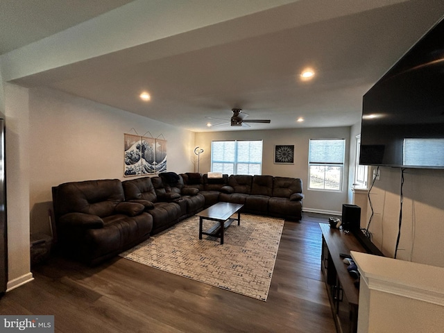 living room featuring ceiling fan and dark hardwood / wood-style flooring