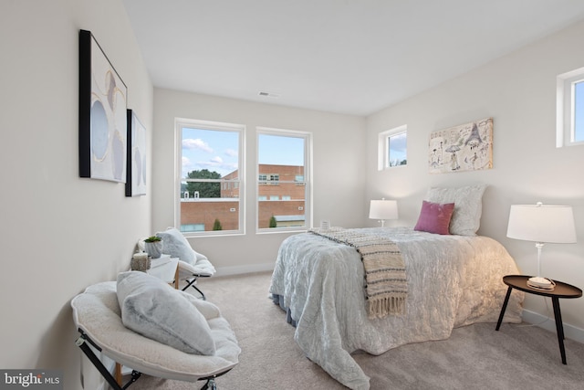 carpeted bedroom with multiple windows