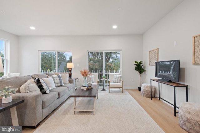 living room with a healthy amount of sunlight and light hardwood / wood-style flooring