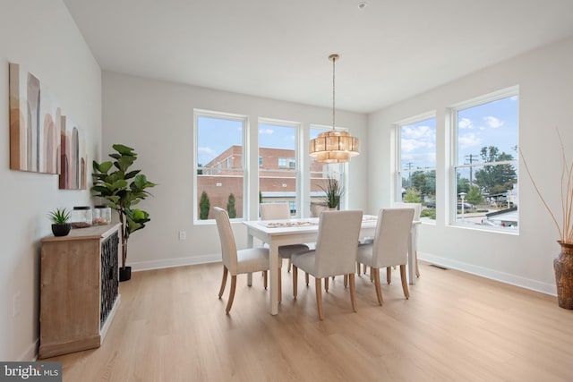 dining area featuring light hardwood / wood-style flooring and a healthy amount of sunlight