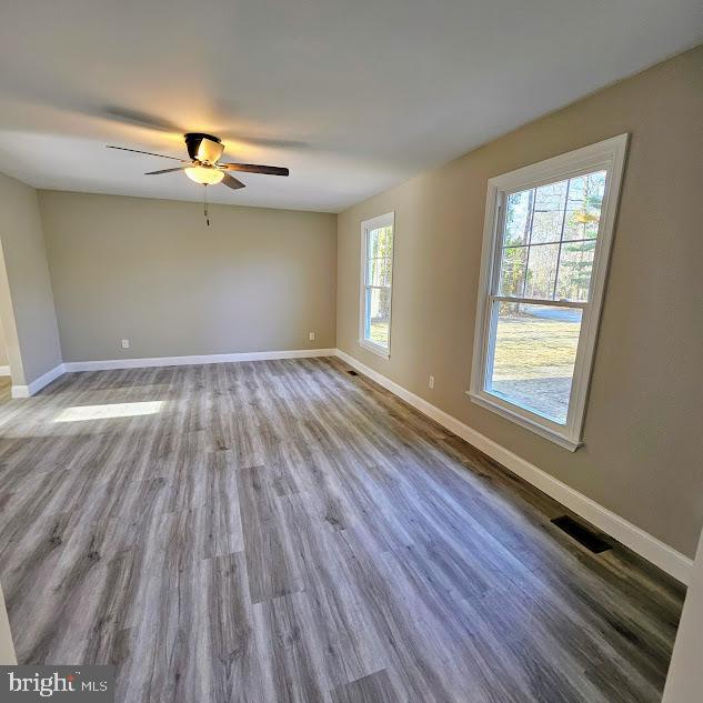 spare room featuring a healthy amount of sunlight, hardwood / wood-style floors, and ceiling fan