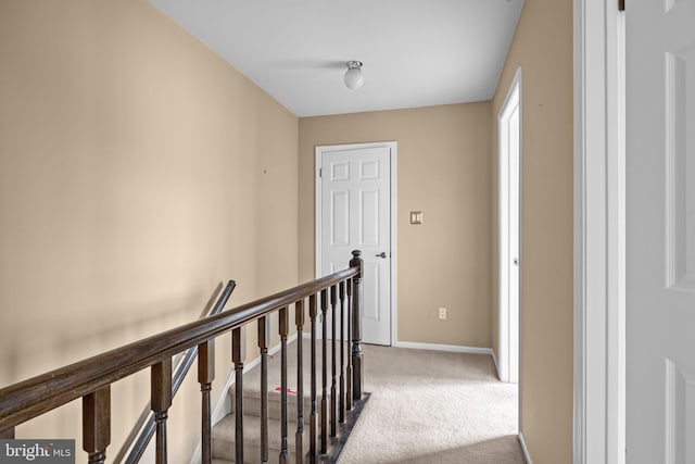 hallway with carpet