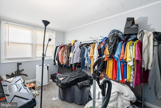 walk in closet with carpet flooring