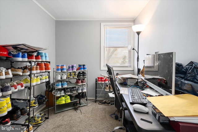 carpeted home office with ornamental molding