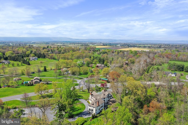 bird's eye view