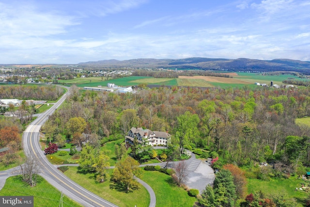 birds eye view of property with a mountain view