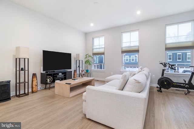 living room featuring light hardwood / wood-style flooring