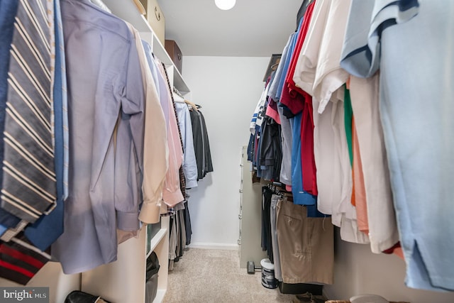 spacious closet with light colored carpet