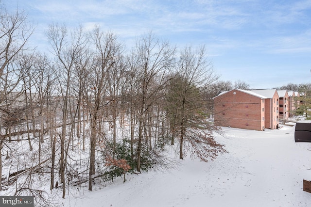 view of snowy yard