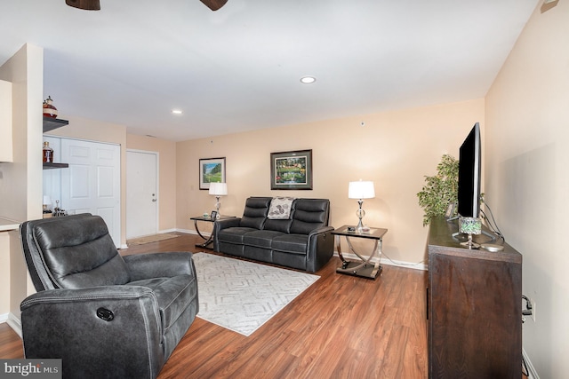 living room featuring wood-type flooring