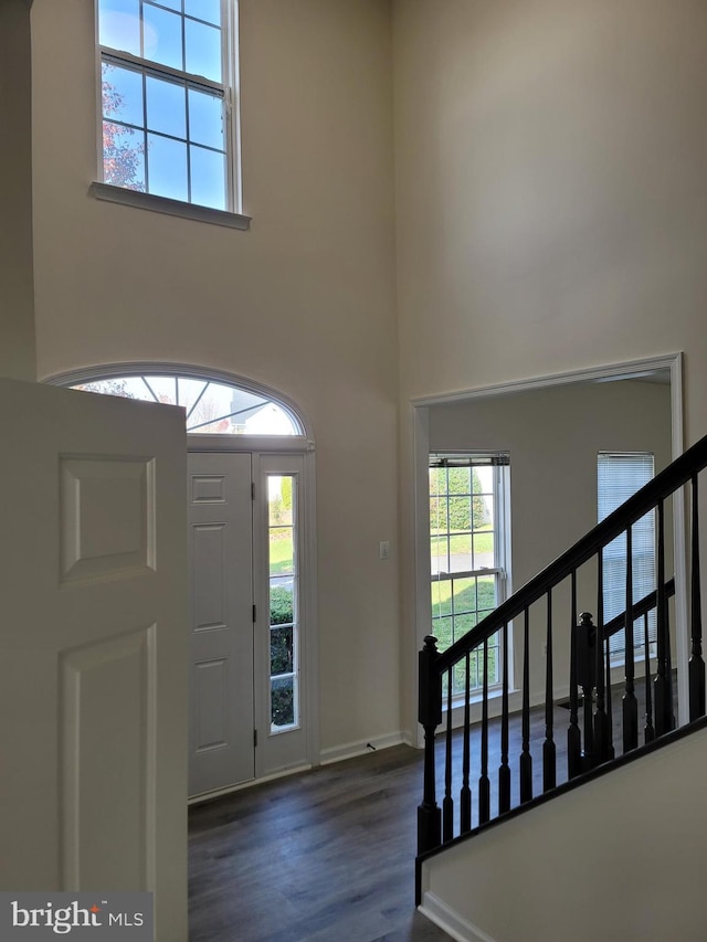 foyer with dark hardwood / wood-style flooring and a towering ceiling