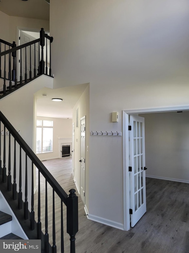 staircase featuring wood-type flooring