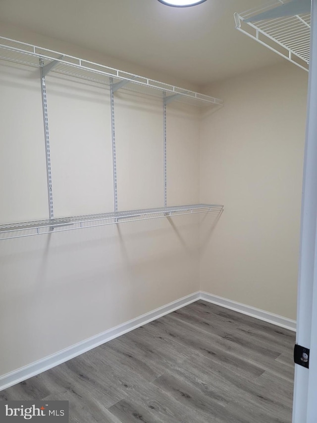 walk in closet featuring hardwood / wood-style floors