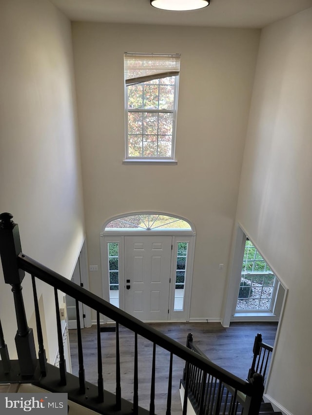 entrance foyer featuring hardwood / wood-style flooring, plenty of natural light, and a high ceiling