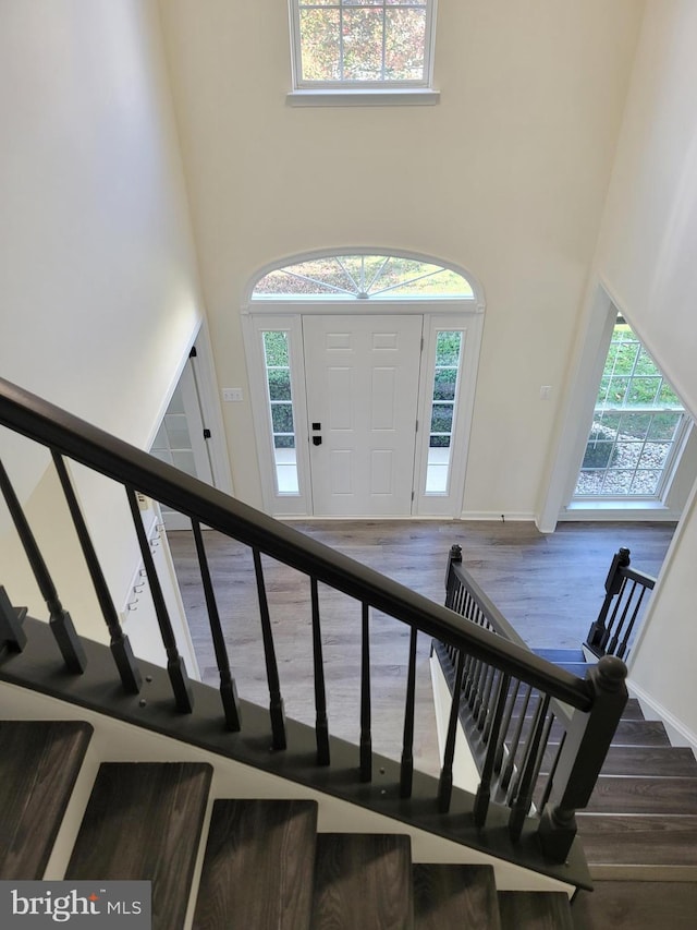 entrance foyer with hardwood / wood-style flooring, a healthy amount of sunlight, and a towering ceiling