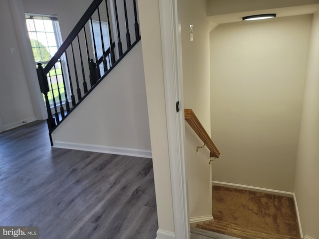 staircase with hardwood / wood-style flooring