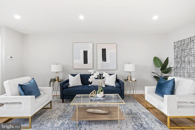 living room with hardwood / wood-style floors