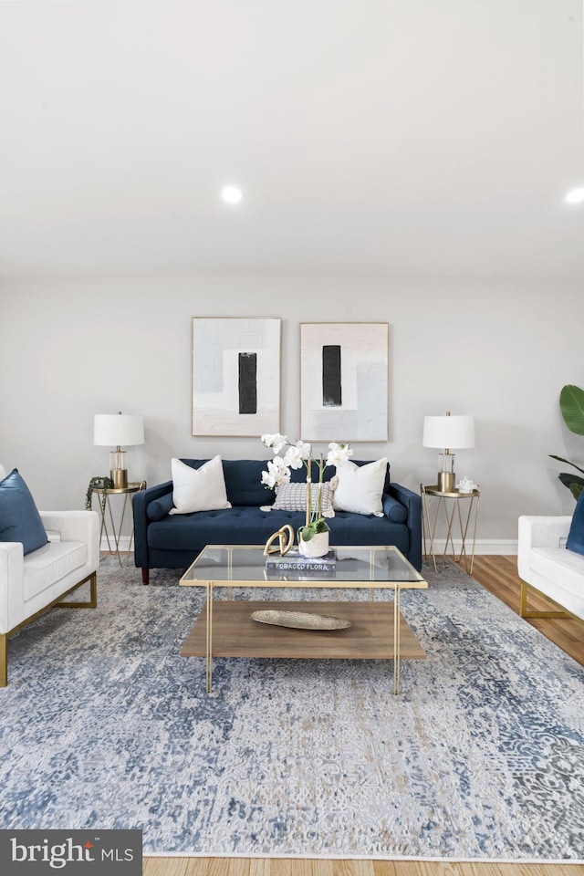 living room featuring wood-type flooring