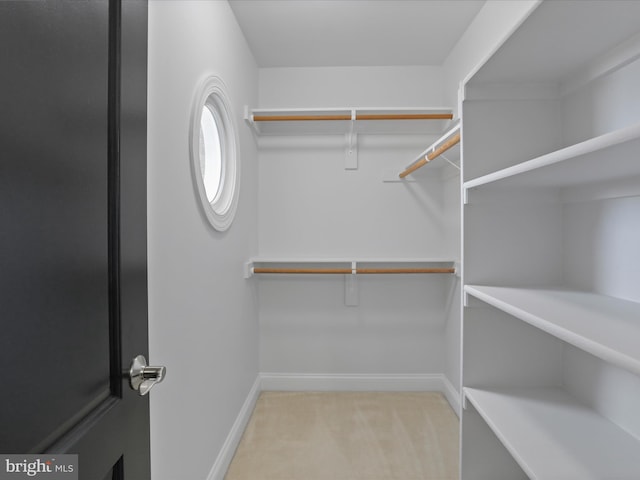 spacious closet with light carpet