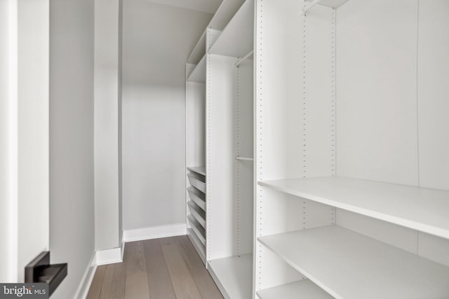 spacious closet with dark hardwood / wood-style floors