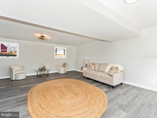 living room featuring hardwood / wood-style floors