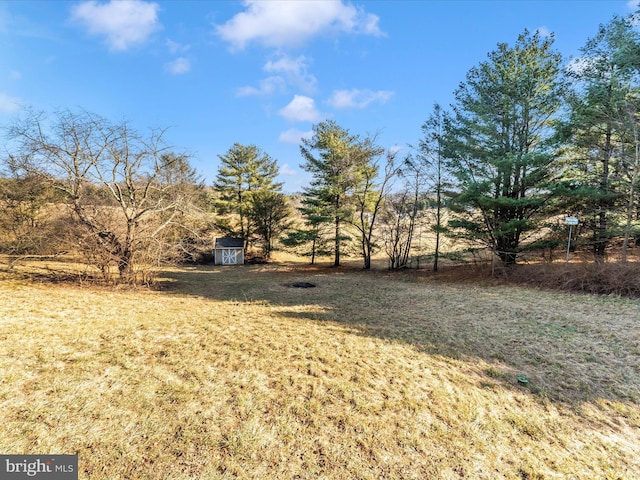 view of yard featuring a storage shed