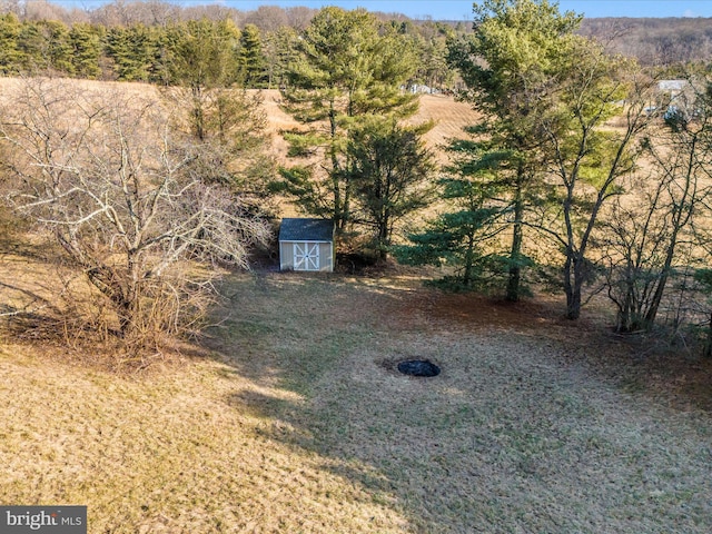 view of yard with a shed