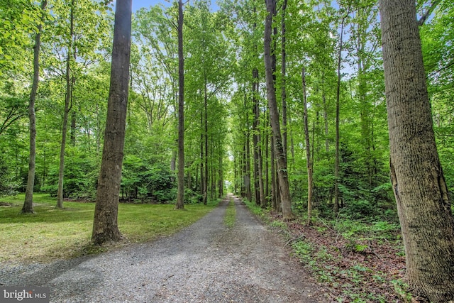 view of road