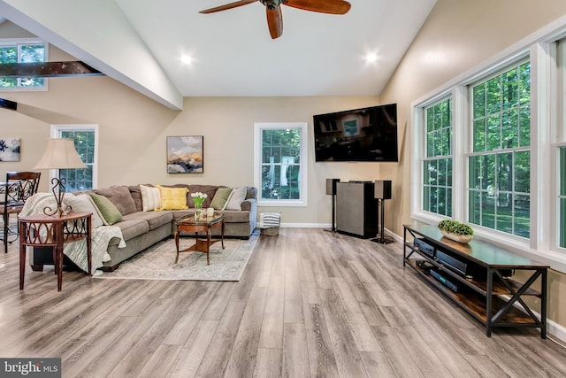 living room with ceiling fan, lofted ceiling, and light wood-type flooring