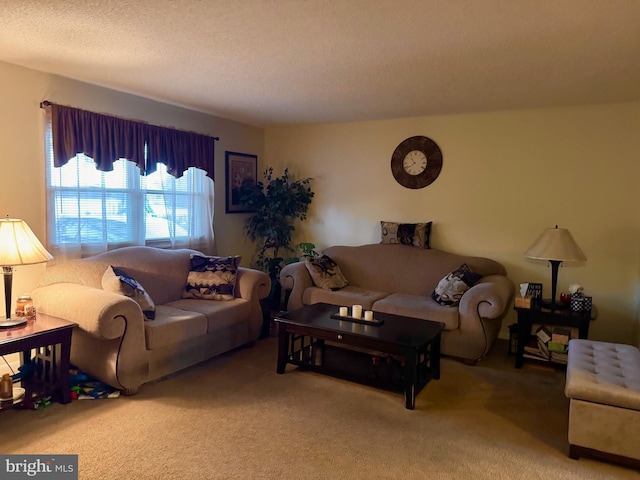 carpeted living room featuring a textured ceiling