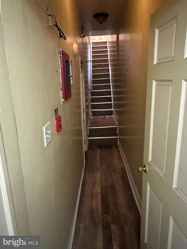 hall featuring dark hardwood / wood-style floors