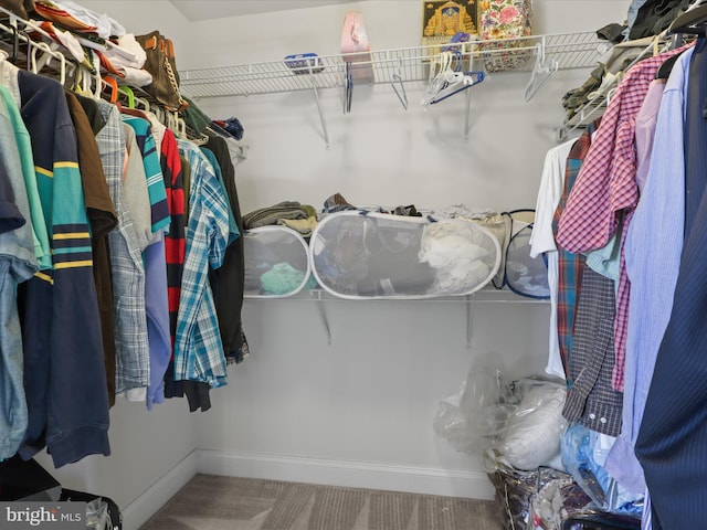 view of spacious closet